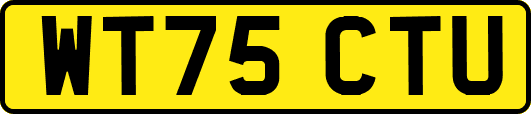 WT75CTU