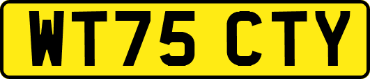WT75CTY
