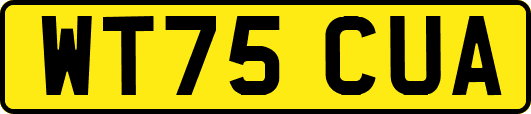 WT75CUA