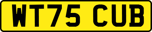 WT75CUB