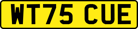 WT75CUE