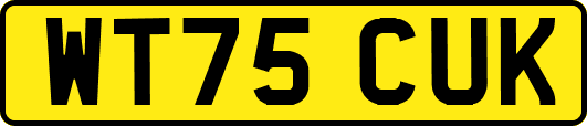 WT75CUK