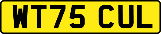 WT75CUL