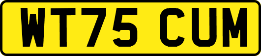 WT75CUM