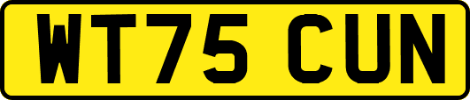 WT75CUN