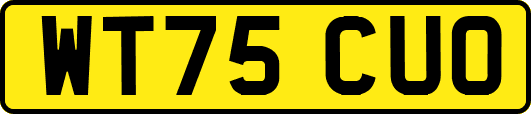 WT75CUO