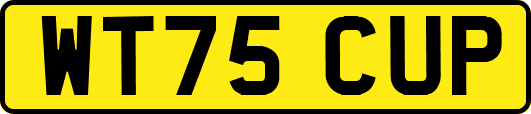 WT75CUP