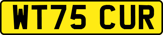WT75CUR