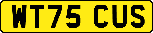 WT75CUS