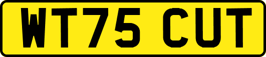 WT75CUT