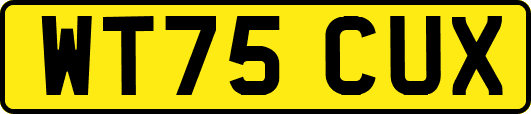 WT75CUX
