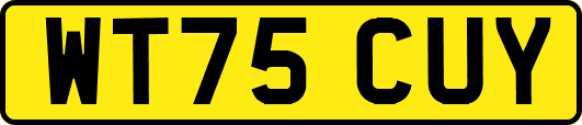 WT75CUY