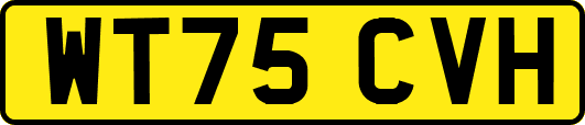 WT75CVH
