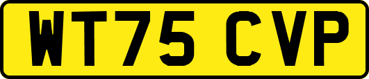 WT75CVP