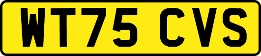 WT75CVS