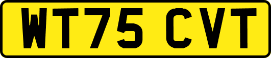 WT75CVT