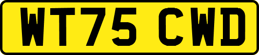 WT75CWD