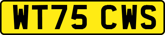 WT75CWS