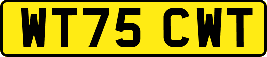 WT75CWT
