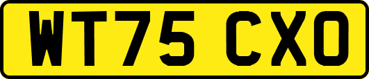 WT75CXO