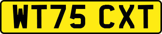 WT75CXT
