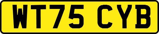 WT75CYB