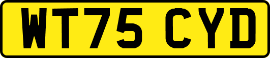 WT75CYD