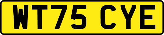 WT75CYE