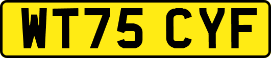WT75CYF