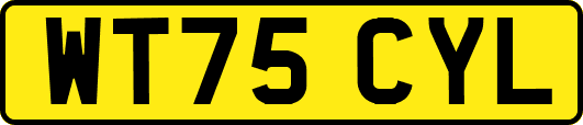 WT75CYL