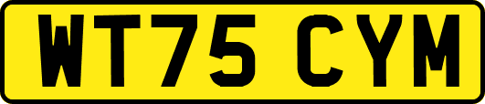 WT75CYM