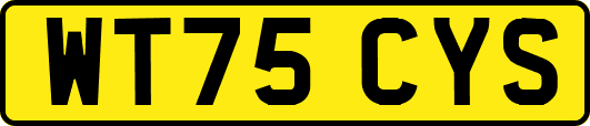 WT75CYS