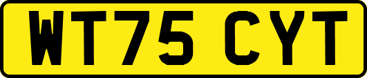 WT75CYT