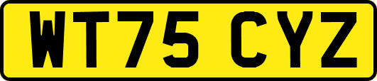 WT75CYZ