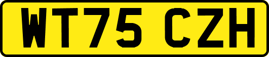 WT75CZH