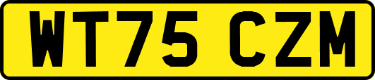 WT75CZM