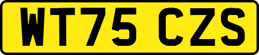 WT75CZS