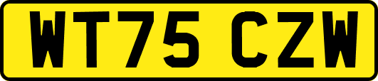 WT75CZW