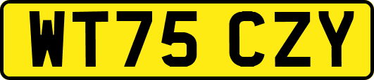 WT75CZY