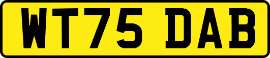 WT75DAB