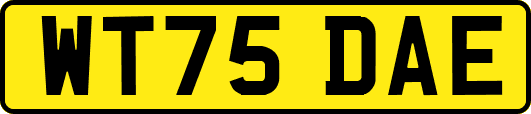 WT75DAE