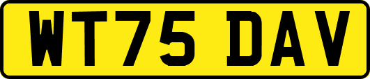 WT75DAV