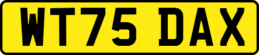 WT75DAX
