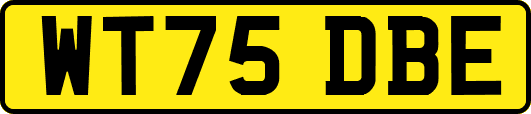 WT75DBE