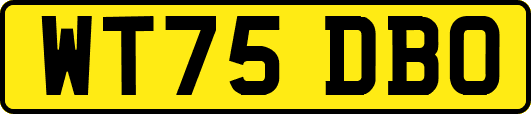 WT75DBO