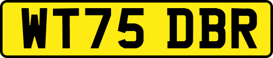 WT75DBR