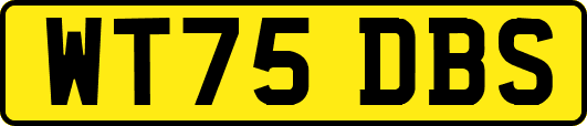 WT75DBS