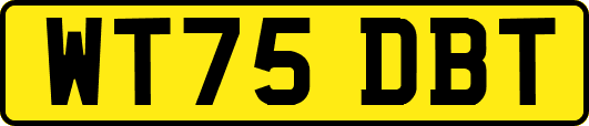 WT75DBT