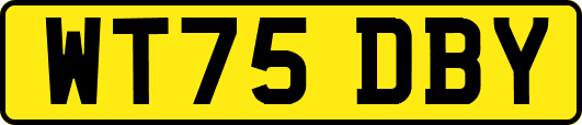 WT75DBY