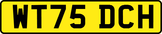 WT75DCH